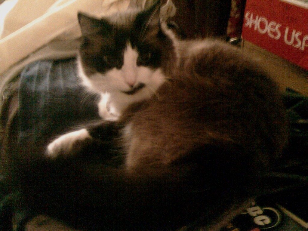 Paperweight
